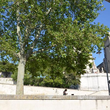 Face Au Palais Des Papes Apartment Avignon Exterior foto